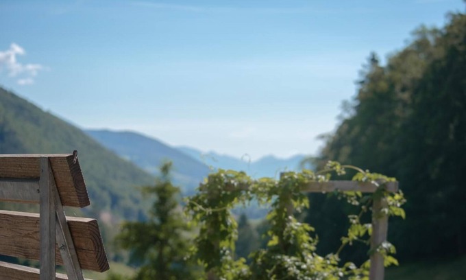 Gansbrunnen Other | Holiday apartment Gänsbrunnen for 1 - 7 persons with 3 bedrooms - Farmhouse