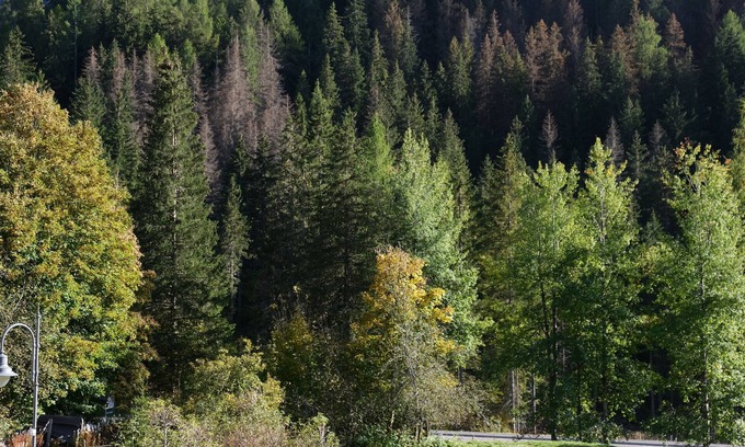 Penia Apartment | Holiday Apartment "Gran Vernel Hause" near Slopes with Balcony