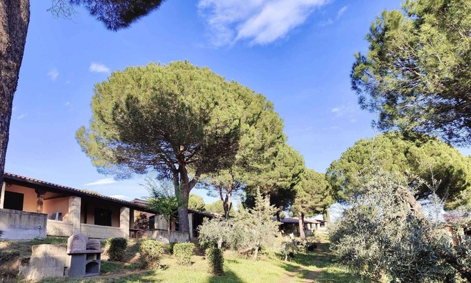 Guardistallo Apartment | Holiday apartment mit Pool