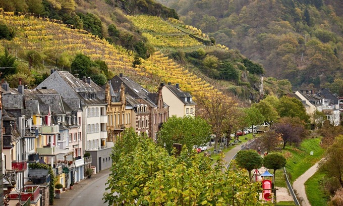 Zell Apartment | Holiday Apartment Mosel Time New 2022