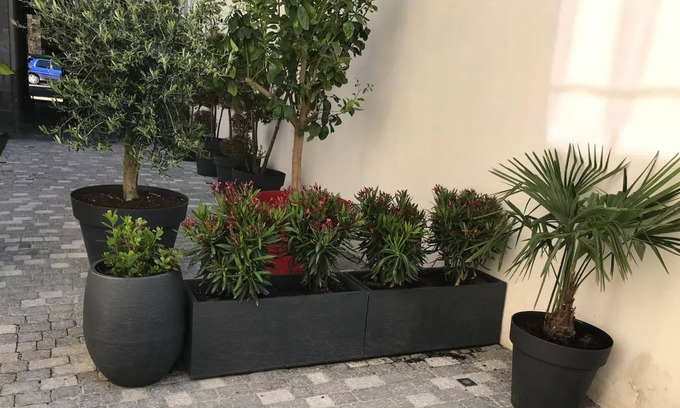 Chamalieres Apartment | Holiday Apartment "Nid D'amour F1 Calme" with Private Terrace, Hammam & Wi-Fi