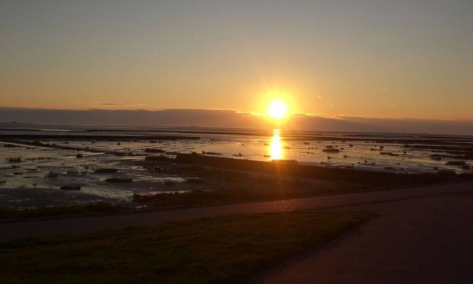 Fedderswarf Apartment | Holiday apartment Oystercatcher