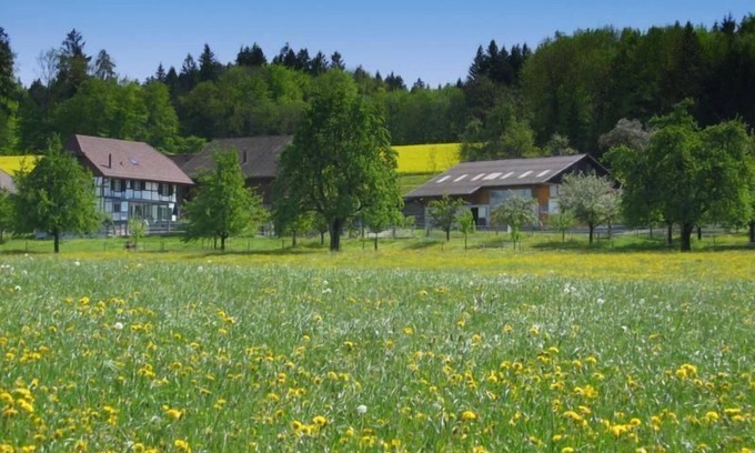 Eschenz Other | Holiday apartment "Tieroase" on a farm with horses and donkeys