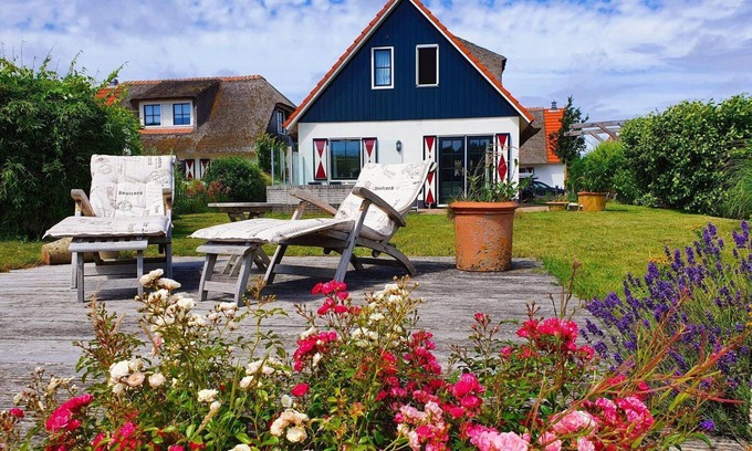 Callantsoog House | Holiday home Buitenplaats 26 in Callantsoog. Suitable for 2 people with 1 bedroom.