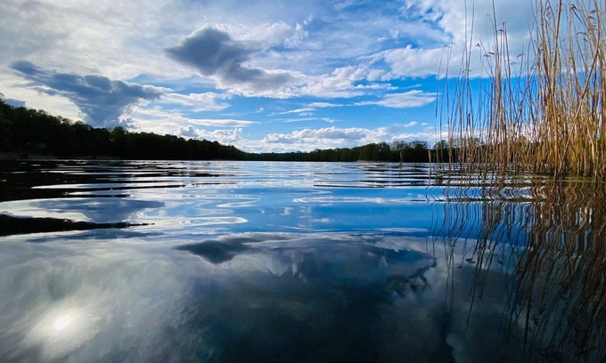 Bohmerheide House | Holiday home "Bungalow Waldidyll" by the lake