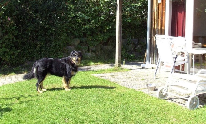 Zandt House | Holiday home in Zandt with garden, terrace and barbecue