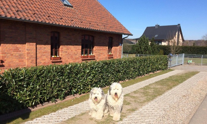 Muritz House | Holiday house Kargow for 1 - 9 persons with 3 bedrooms - Twin house