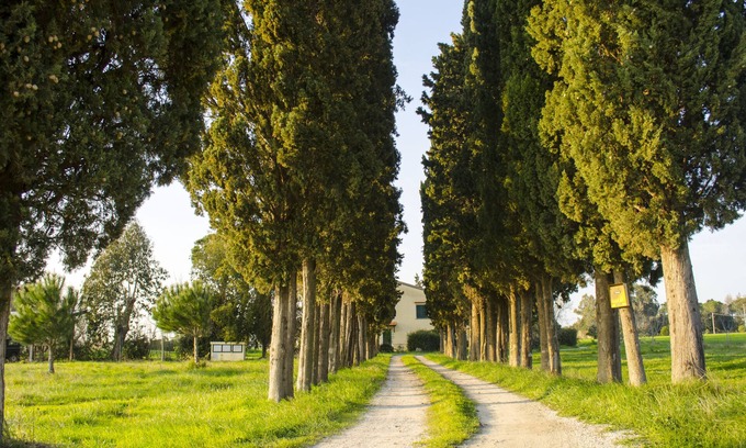 Castagneto Carducci Apartment | Holidays in Tuscany with family