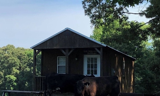 Minden Cabin | Holland Hill Cabin on a Pond