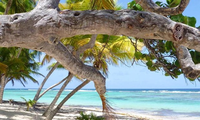 Capesterre-de-Marie-Galante Apartment | Homerez - Apartement for 2 ppl. with sea view at Capesterre-de-Marie-Galante