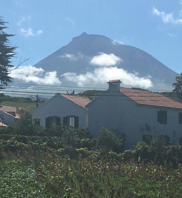 Madalena House | Home Pico - Casa dos Cedros (Alojamento local)