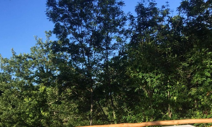 Caprese Michelangelo House | Homerez - Nice house for 6 ppl. with balcony at Caprese Michelangelo