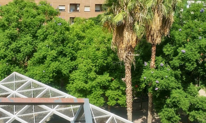 Benimaclet Apartment | Homerez - Spacious Apartment with Garden in Valencia