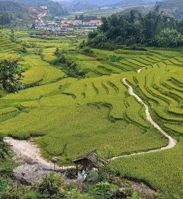 Sa Pa Cabin | Homestay Núi Đá Tả Phìn