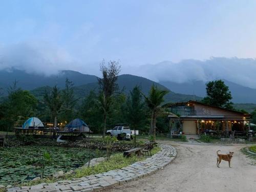 Lang Co House | Homie Hava Homestay