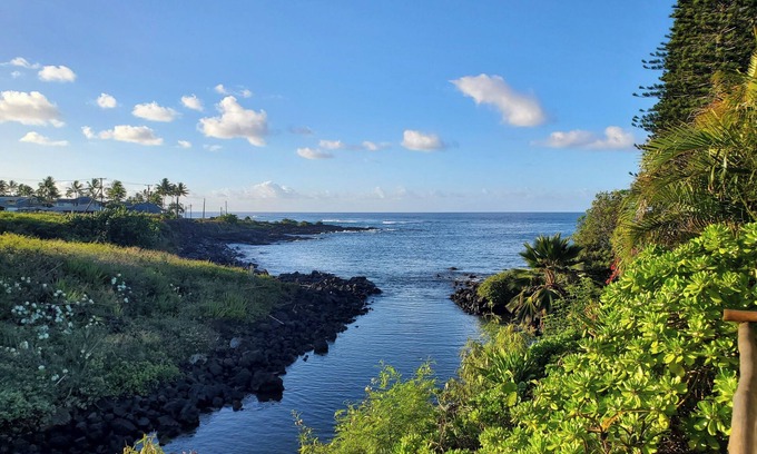 Poipu Cottage | Honeymoon-View Sea Turtles From Your Deck-AC-Outdoor Shower-Free Access to Gym