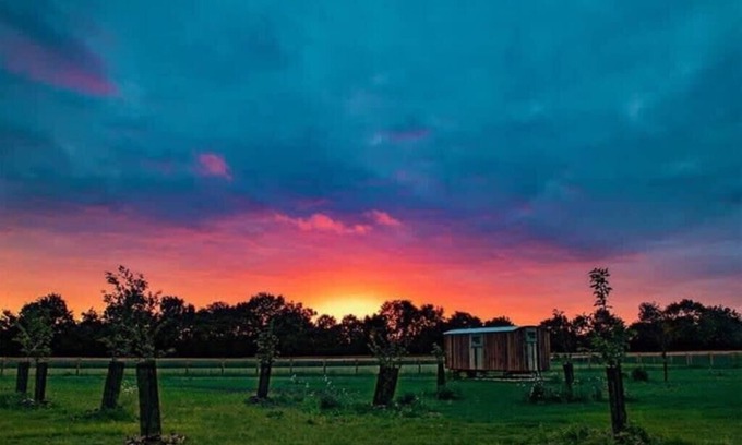 Bedfield Cabin | Honeysuckle Farm Hut 7 - Suffolk Farm Holidays