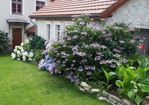 Myslenice Apartment | Hortensjowe Wzgórze