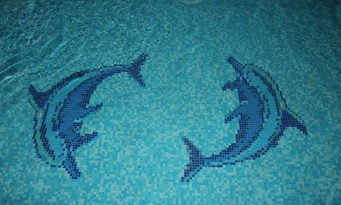 Anapa Hotel | Hotel Aрдо