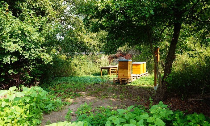 Guestrow Hotel | Hotel Am Tierpark