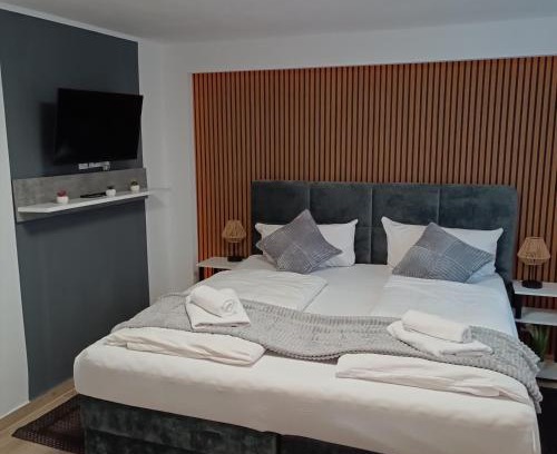 Kaiserslautern Hotel | Hotel Ari