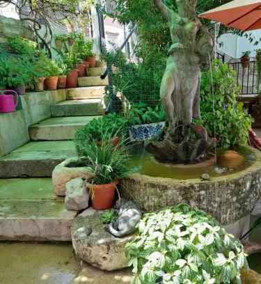 El Bosque House | Hotel Casa Paco