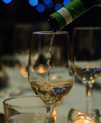 Ollon Hotel | Hotel du Lac