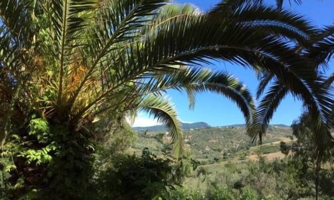 Castellabate Hotel | Hotel Eden