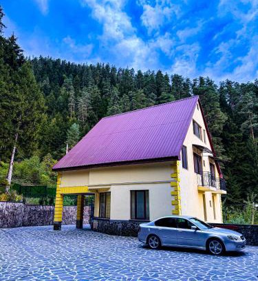 Akhali Ubani Hotel | Hotel forest echo