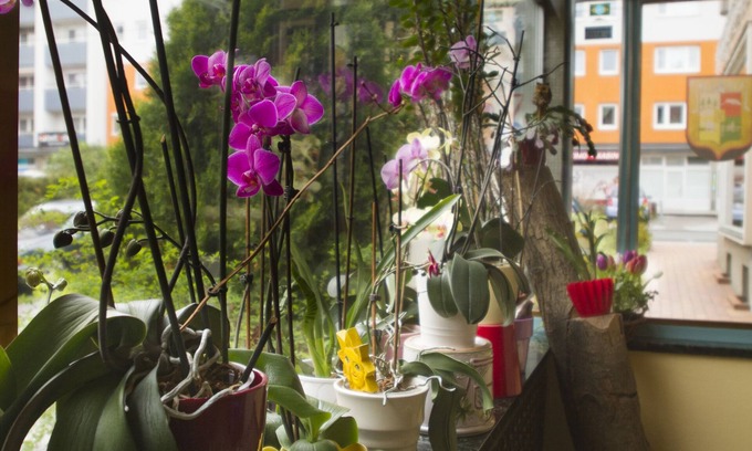 Elisabeth-Vorstadt Hotel | Hotel Hohenstauffen