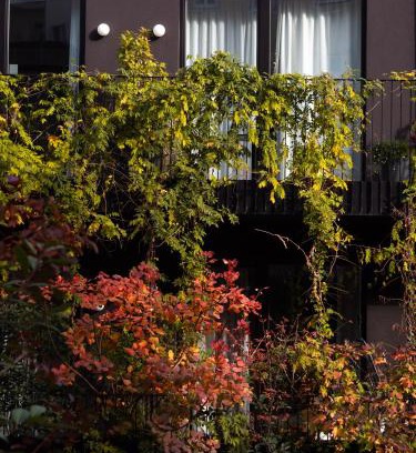 Margareten Hotel | Hotel Indigo Vienna - Naschmarkt by IHG