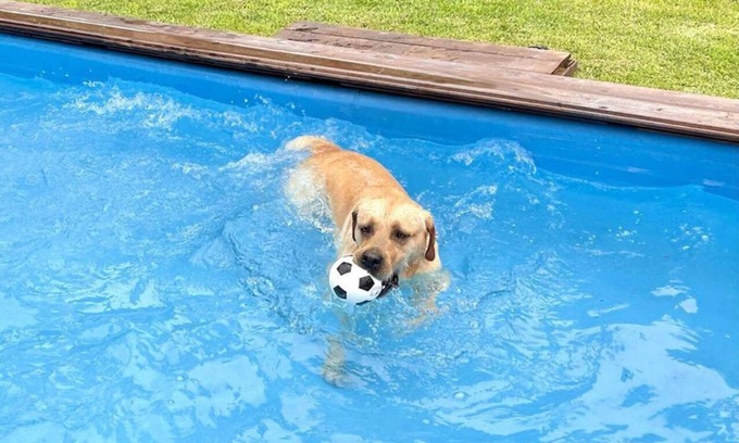 Boscoreale Hotel | Hotel La Fenice