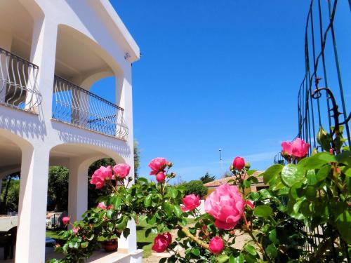 La Ciaccia Hotel | Hotel La Tartaruga Bianca