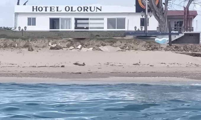 Aldama Hotel | Hotel olorun