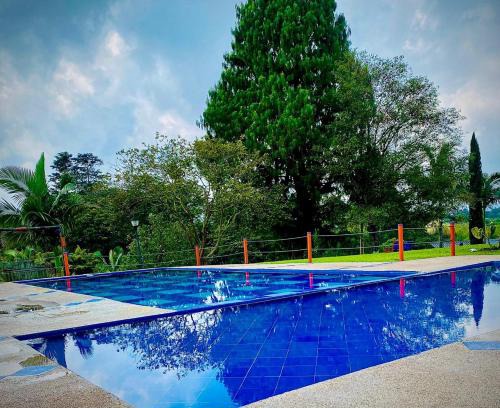 Filandia Hotel | Hotel Paisaje Cafetero Con Piscina y desayuno - Filandia, Eje cafetero