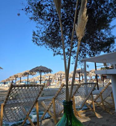 Silvi Hotel | Hotel Petit