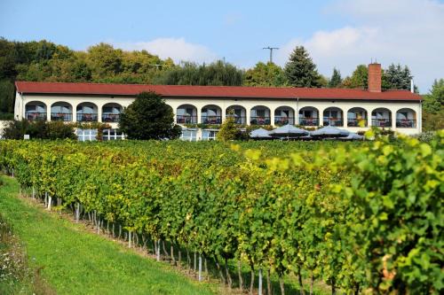 Großjena Hotel | Hotel Rebschule