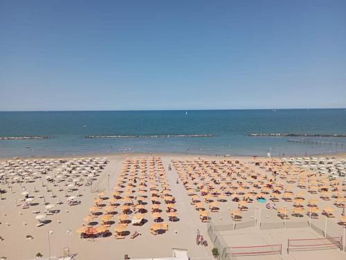 Viserba Hotel | Hotel Salsedine " 5 mt from the Beach ! "