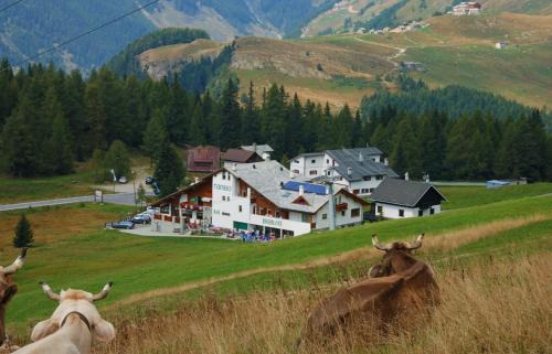 Campodolcino Hotel | Hotel Tambò