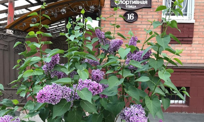 Syzran Hotel | Hotel Vinoghrad