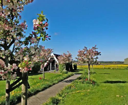Warmenhuizen House | Hotelhuisje Warmenhuizen #D