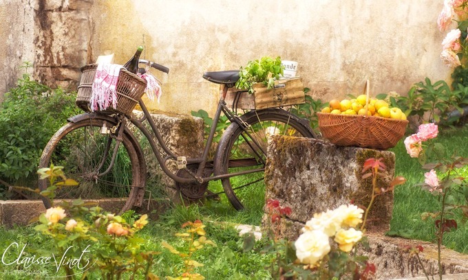 Aisey-sur-Seine House | House 4/5 Bed and Breakfast, Châtillonnais countryside, calm and charm