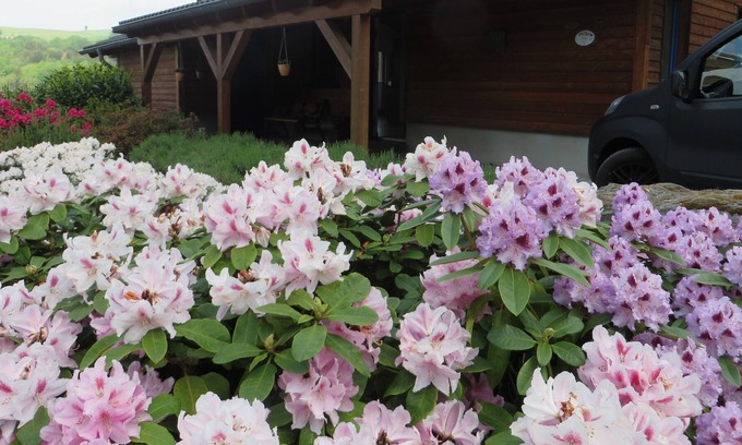 Rieden House | House for 4 guests with 75m² in Rieden (131367)