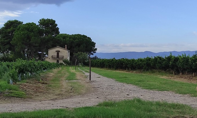 Mirto Cottage | House in a romantic citrus grove, private access to the beach, relax and tranquility!