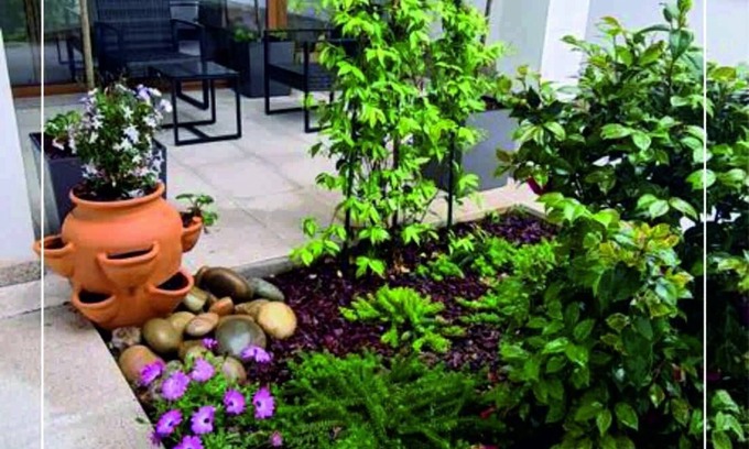 Monserrate Apartment | House of Camellias