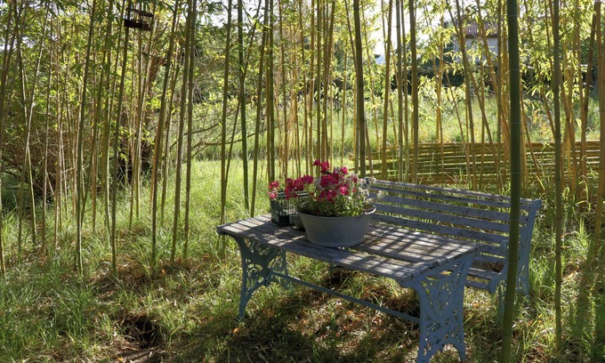 Dieulefit House | House on a 2000 m2 plot in a quiet natural setting 5 minutes from the village.