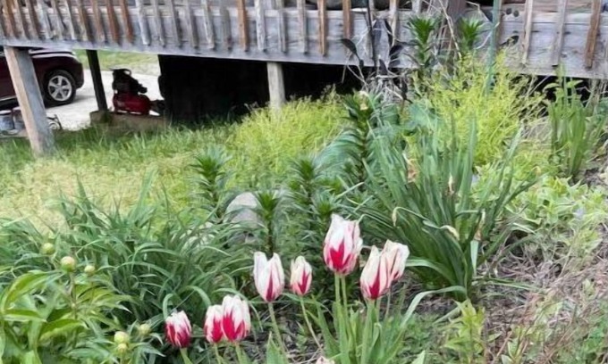 Leasburg House | Huge 3000 sq ft - 20+ acres < 5 miles Cave & river - float, swim, fish and hike.