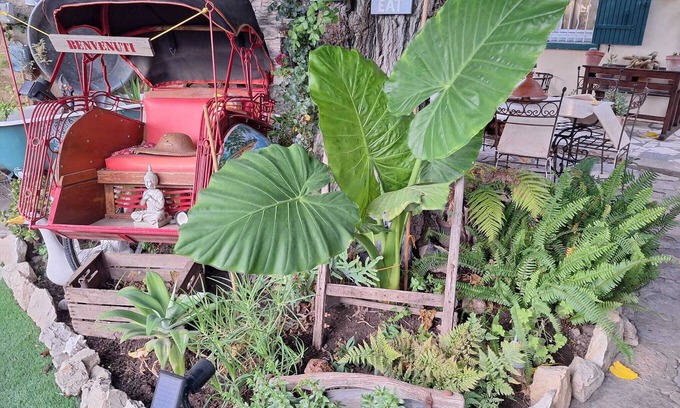 Avignon Apartment | hummingbird/dog accepted on request