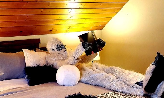 Silt House | IceBerg Farms, even a Yeti can chill here!