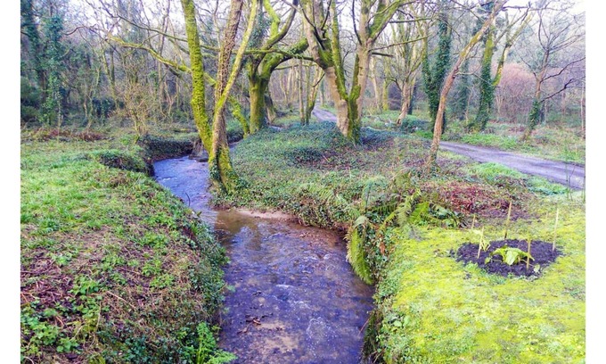 Castallack Cottage | Idyllic cottage in beautiful Lamorna valley - walking distance to sea and pub!